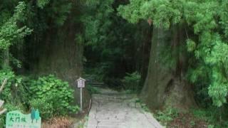 Japan, Kami: The Gods of Shinto