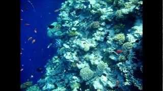 Egypt / Sinai / Dahab / Blue Hole