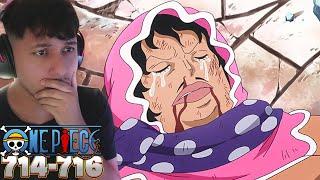 SENOR PINK'S TRAGIC BACKSTORY! | One Piece Episode 714, 715 and 716 Reaction