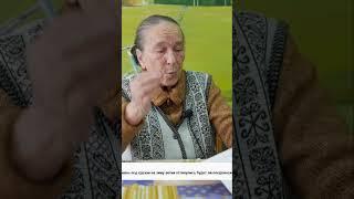 Секреты плодоношения яблонь и груш  когда ждать первые плоды