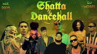 The Best of Shatta & Dancehall Vibes Mix 2025  Vol 01 By Dj Moses Vibes