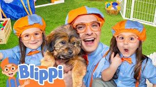 Join Blippi, Layla, and Myka for a Puppy Playdate! - Blippi's Ultimate Playdate | Videos for Kids