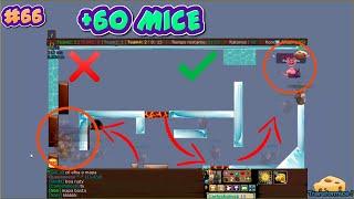 *epic first* +60 MICE P1 MAPS #66 TRANSFORMICE