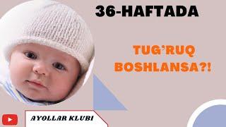 HOMILADORLIKNING 36- HAFTASI TUG’RUQ BOSHLANSA?!!!