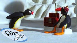 Pingu Learns Music!  | Pingu - Official Channel | Cartoons For Kids