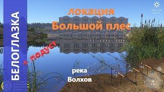 Русская рыбалка 4 - река Волхов - Белоглазка и подуст \ White-eye Bream and Nase