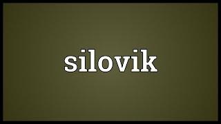 Silovik Meaning