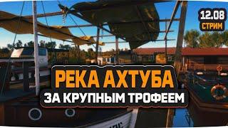 Русская Рыбалка 4 — Стрим на реке Ахтуба. Идем на крупную рыбу!