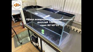 Будущий морской аквариум с нижним сампом в Псков.