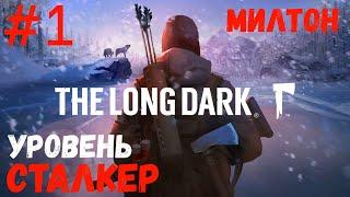 The Long Dark ► Прохождение #1 / Выживание на уровне СТАЛКЕР / Нахожусь в Милтоне / Без комментариев