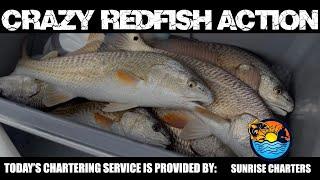 South TEXAS FISHING.. (CRAZY REDFISH ACTION)