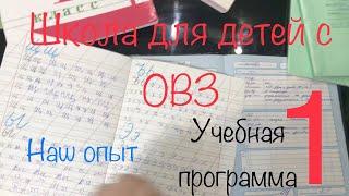 Аутизм не приговор. Школа для детей с ОВЗ. Обучение по первому варианту.Делюсь своим опытом.