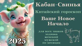 Китайский гороскоп 2025 Кабан-Свинья Новое Начало #свинья #восточный #гороскоп #2025 #успех #кабан