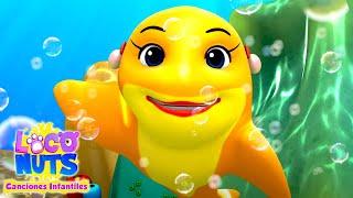 Tiburon bebe | Canciones infantiles | Videos para bebes | Loco Nuts Español | Educación