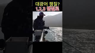 대광어 시즌 챔질 타이밍 123챔질