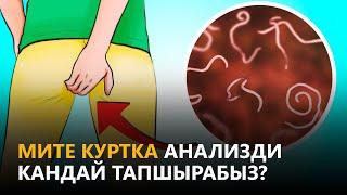 NewTV// Мите куртка анализди кандай тапшырабыз? // дабагер