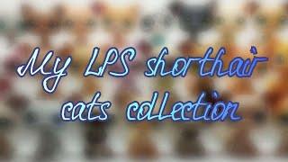 |LPS|: моя коллекция стоячек | My LPS shorthair cats collection