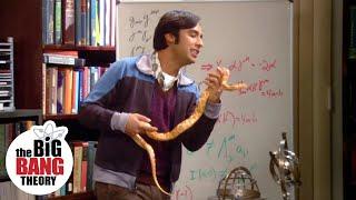 Sheldon Puts a Snake in Raj’s Desk | The Big Bang Theory