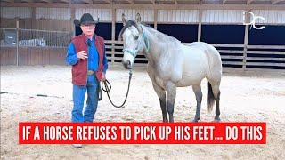 Overcoming Resistance: Get A Horse to Pick Up its Feet with Ease