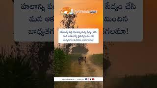 JHK Farmer Quote | Motivational quotes Telugu II Inspirational Quotes II Telugu Quote @JaiHoKisan