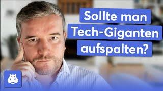 Missbrauchen Tech-Giganten wie Google ihre Marktmacht? Pip Klöckner im Interview 2/3