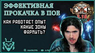 Эффективная прокачка в ПоЕ. Опыт. Какие зоны фармить?