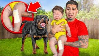 OUR NEW DOG BIT OUR BABY…