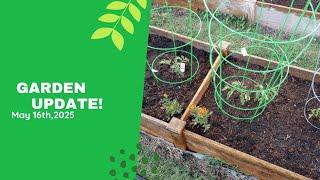 Garden Update May 26th 2025!