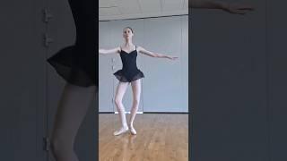 pirouette fun @margaritasdiamante2368