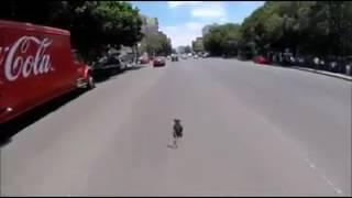 Mujer arriesga su vida para salvar a un perrito corriendo perdido entre los vehículos