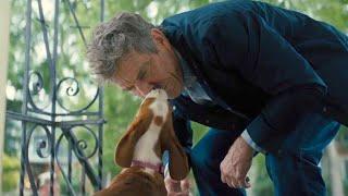 A Dog's Journey | Bailey Finds Ethan | Film Clip | Own it now on Blu-ray, DVD & Digital