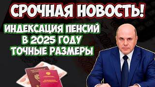 ️Рекордная Индексация Пенсий в 2025 году! Депутаты назвали точные суммы. Сколько составит прибавка?