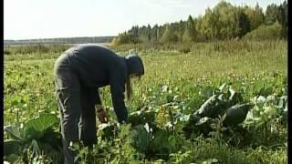 Выбери Жизнь