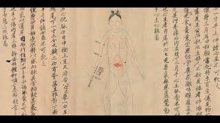 The genesis of pregnancy in classical Chinese medicine: Jin Gui Yao Lue 20.1 and the Tai chan Shu