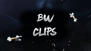 BW Clips | #2 | "Desline never die"