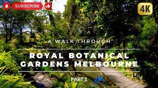 A Walk Through Melbourne’s Stunning Royal Botanic Gardens