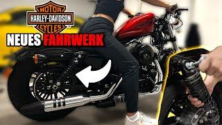 JETZT wird die Sportster TIEFERGELEGT! LOWERING SHOCKS - PROGRESSIVE | Dans Moto | ️ How To ️