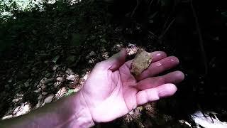 MISSOURI ARROWHEAD HUNTING 5-28-2025