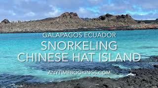 Snorkeling in Galapagos Islands with Cessy Meacham