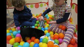 Puppy Socialisation Area - Adolescent Dogs Ltd