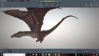 Wyvern dragon animation