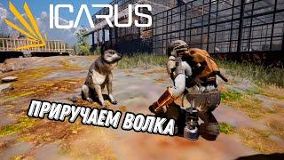 Как приручить волка (гайд) - ICARUS