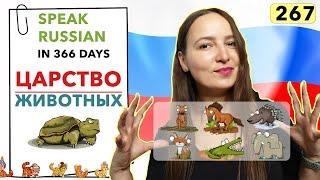 DAY #267 OUT OF 366  | SPEAK RUSSIAN IN 1 YEAR