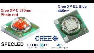 Cree XP-E, XP-E2 670нм и 465нм. Светодиоды для растений. Сравнение с Luxeon и ProLight Opto