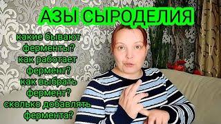 Сыроделие для новичков-ФЕРМЕНТЫ