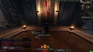 Гайд обзор на Хила Благочестивца  #Neverwinter online | m19