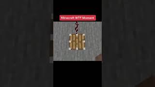 Minecraft WTF Moment | Minecraft BEST Momemt  #minecraft #майнкрафт #wtfmoment