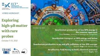 Exploring high-µB matter with rare probes | 14 Oct 2021| Ferreiro.-Vogt-Du-Gupta