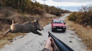 DOMUZ AVI (DEV AZILI ARABAYLA ÇARPIŞTI!!) WİLD BOAR HUNTİNG ОХОТА НА КАБАНА #shotkam