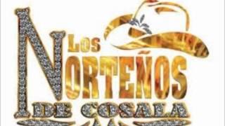 Nortenos de Cosala-El Oro Negro